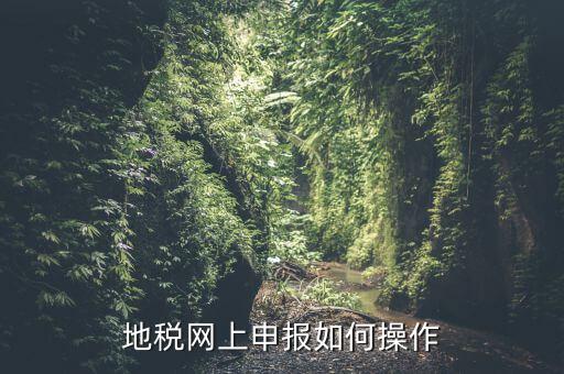 地稅網上申報如何操作