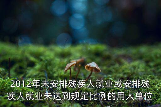 殘保金如何計(jì)算，2012年未安排殘疾人就業(yè)或安排殘疾人就業(yè)未達(dá)到規(guī)定比例的用人單位