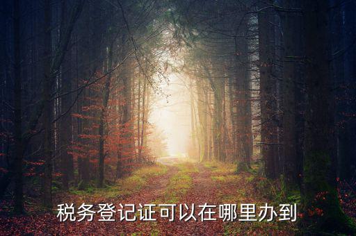 如何辦理稅種登記，辦好營業執照后怎么辦理稅務登記證