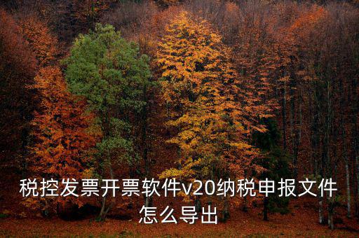 稅控發票開票軟件v20納稅申報文件怎么導出