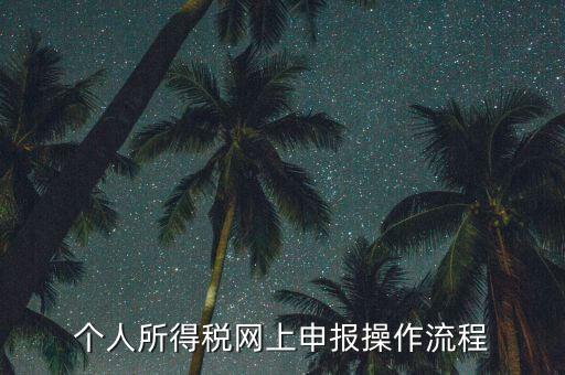 上海個人所得稅如何申報，上海企業如何交個人所得稅