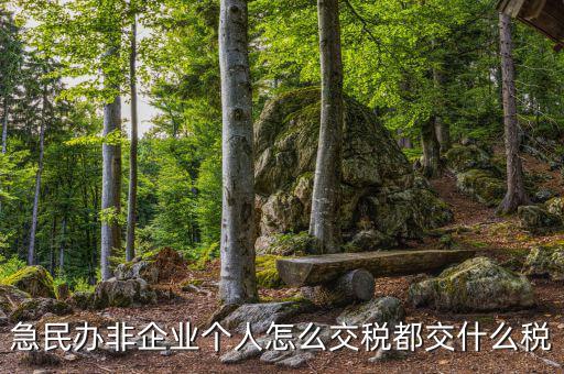 民非企業如何納稅申報，民辦非企業單位如何繳納個人所得稅