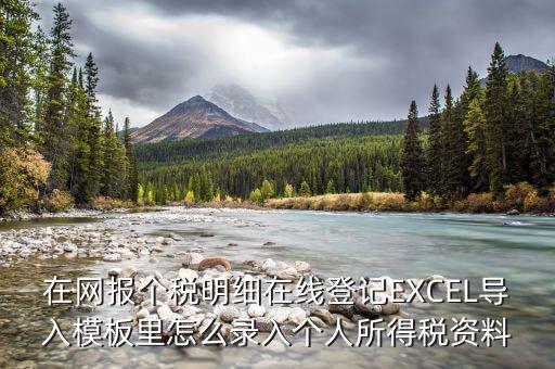 北京個稅明細申報如何導入，在網報個稅明細在線登記EXCEL導入模板里怎么錄入個人所得稅資料