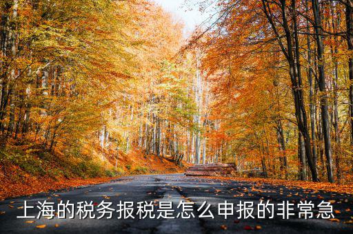 上海市國地稅如何申報，上海地稅是網上報稅嗎采取什么方式申報