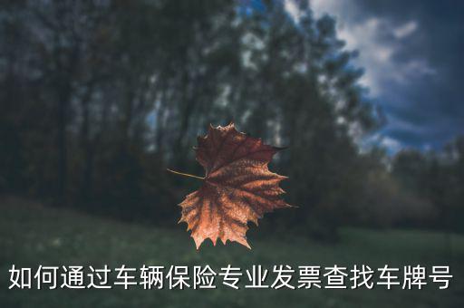 如何通過車輛保險專業發票查找車牌號