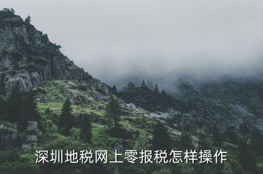 深圳地稅網上零報稅怎樣操作