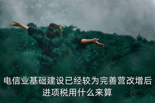 電信業基礎建設已經較為完善營改增后進項稅用什么來算