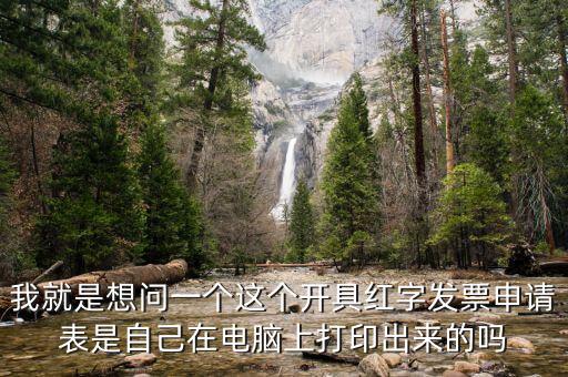 我就是想問一個這個開具紅字發票申請表是自己在電腦上打印出來的嗎