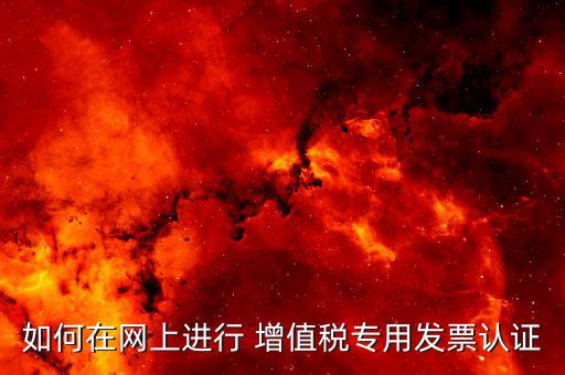 增值稅專用發票如何進行網上認證碼，增值稅發票網上怎么認證