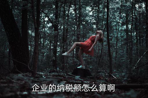 企業納稅如何計算，企業的納稅額怎么算啊