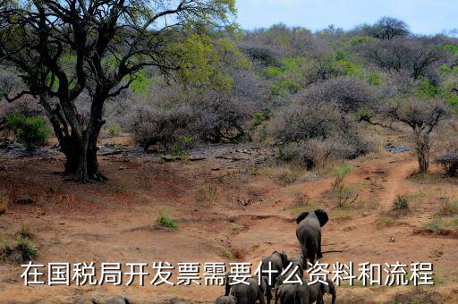 國稅局批票如何辦理，在國稅局開發票需要什么資料和流程
