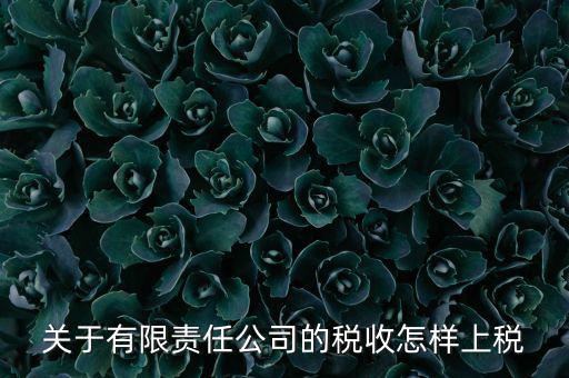 有限責任公司如何繳稅，有限責任公司是如何納稅的要繳納的稅種都有哪些