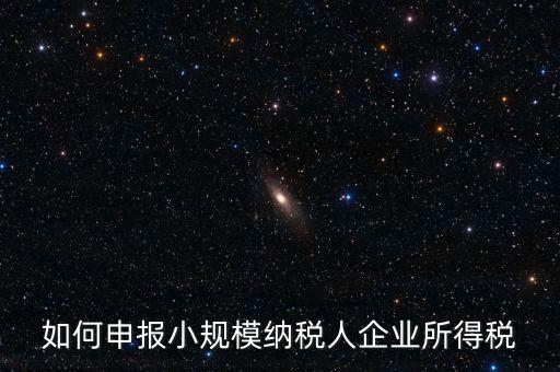 小規模納稅人如何報企業所得稅，如何申報小規模納稅人企業所得稅