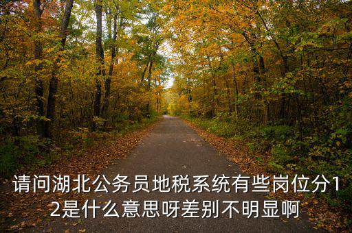 請問湖北公務員地稅系統有些崗位分12是什么意思呀差別不明顯啊