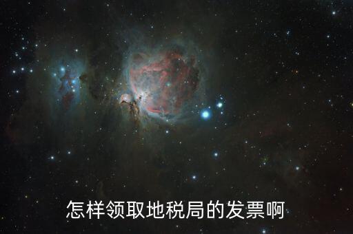 怎樣領取地稅局的發票啊