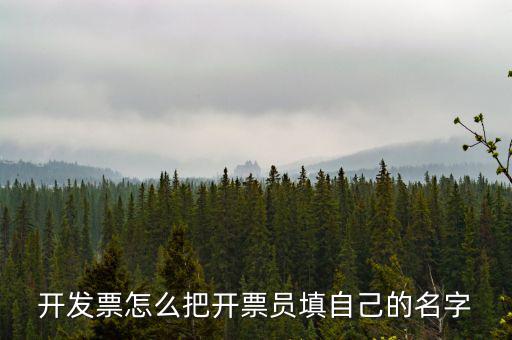 開發票怎么把開票員填自己的名字