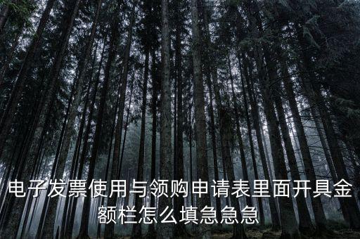 電子發票使用與領購申請表里面開具金額欄怎么填急急急