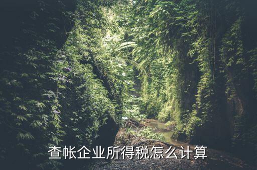 企業所得稅如何查賬，企業所得稅計算 查賬法
