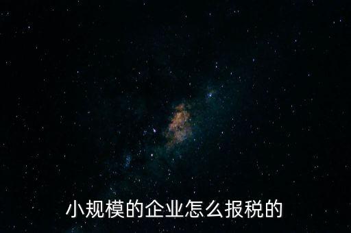 小規模的企業怎么報稅的