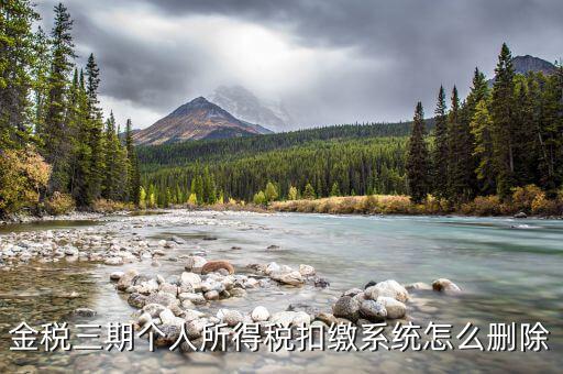 金稅三期個稅如何卸載，金稅三期個人所得稅扣繳系統怎么刪除
