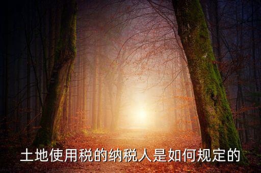 土地使用稅的納稅人是如何規定的