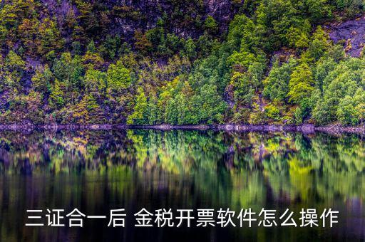 三證合一如何開票系統，怎么給三證合一的企業開增值稅發票