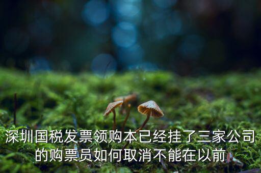 如何取消稅務局購票人，國稅如何刪除購票人