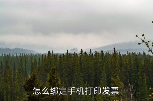 百旺電子發票如何綁定終端，尚未配備電子發票終端怎么處理