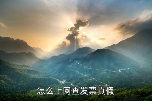 怎么上網查發票真假
