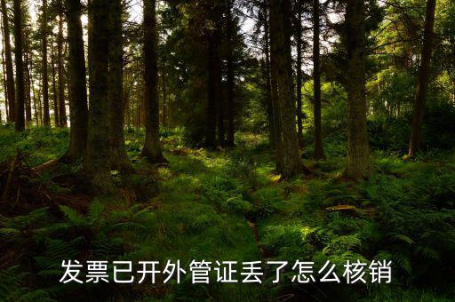 發票已開外管證丟了怎么核銷