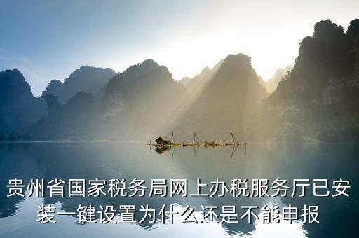 貴州省國家稅務局網上辦稅服務廳已安裝一鍵設置為什么還是不能申報