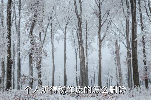 如何刪除已審核的地稅報表，已遞上的地稅網上財務報表系統的報表能否刪除