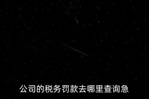 公司的稅務罰款去哪里查詢急