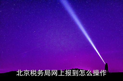 北京稅務局網上報到怎么操作