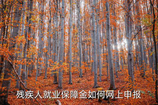 安徽殘疾人保障金如何網上申報，殘疾人就業保障金如何網上申報
