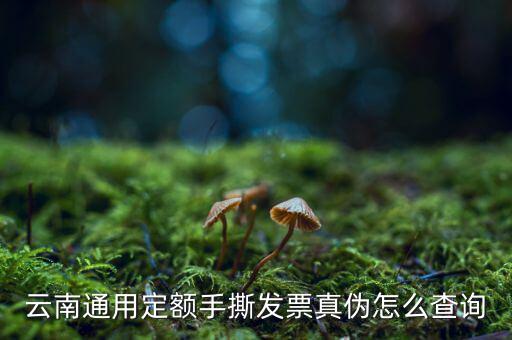 云南定額發票如何查詢系統，云南通用定額手撕發票真偽怎么查詢