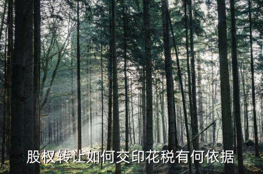 資產轉讓如何交印花稅，股權轉讓如何交印花稅有何依據