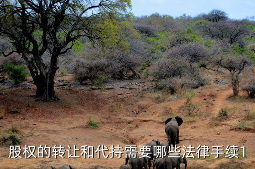 轉讓代持股如何轉讓，代持股可以轉賣嗎