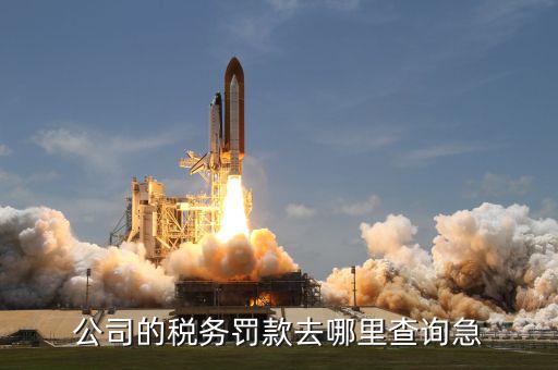 如何查稅收罰款，公司的稅務(wù)罰款去哪里查詢急
