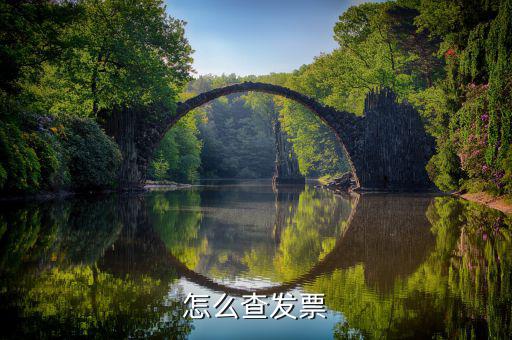 怎么查發票