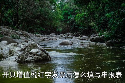 開具增值稅紅字發票后怎么填寫申報表