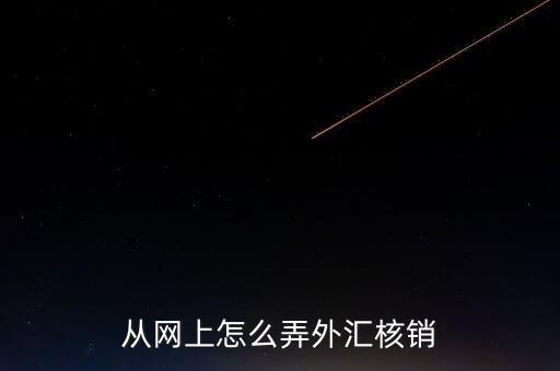 從網上怎么弄外匯核銷