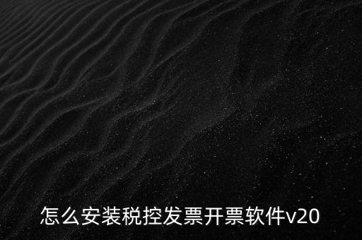 怎么安裝稅控發票開票軟件v20