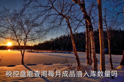 成品油明細如何導入金稅盤，稅控盤能查洵每月成品油入庫數量嗎