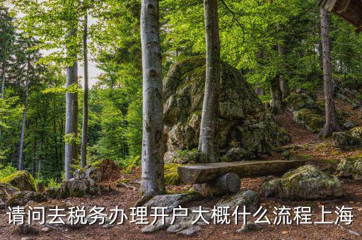 如何辦理稅務開戶，請問去稅務辦理開戶大概什么流程上海