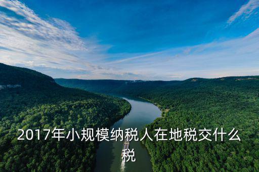 2017年土地稅如何征收，2017年小規(guī)模納稅人在地稅交什么稅