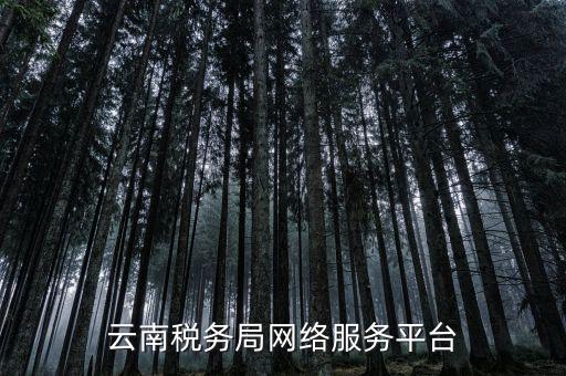 云南稅務局網絡服務平臺