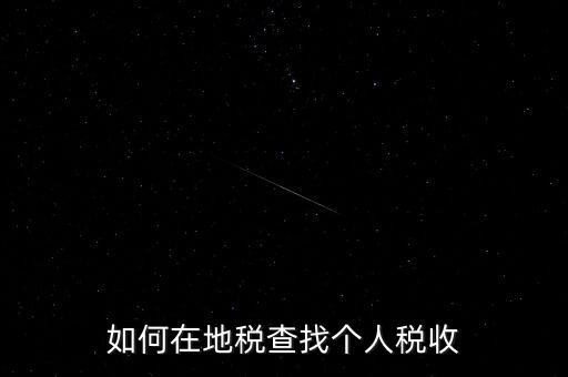 地稅局如何查個人所得稅，如何在地稅查找個人稅收