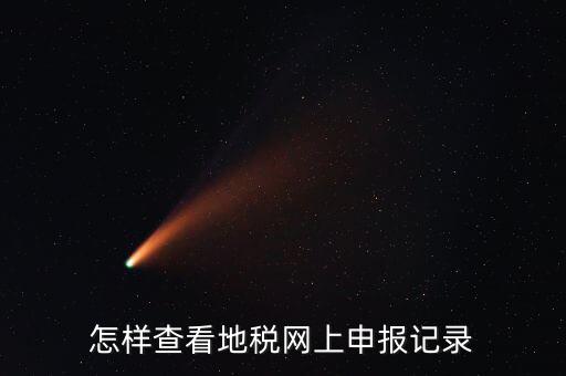 怎樣查看地稅網上申報記錄