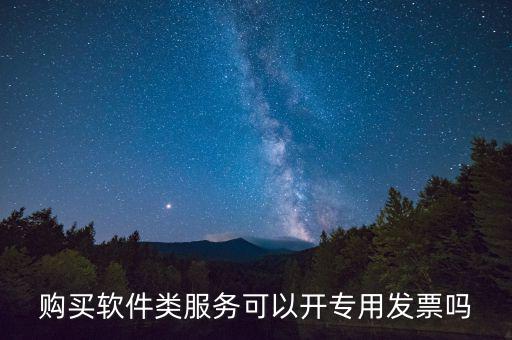 軟件采購(gòu)專票如何開具，購(gòu)買軟件類服務(wù)可以開專用發(fā)票嗎